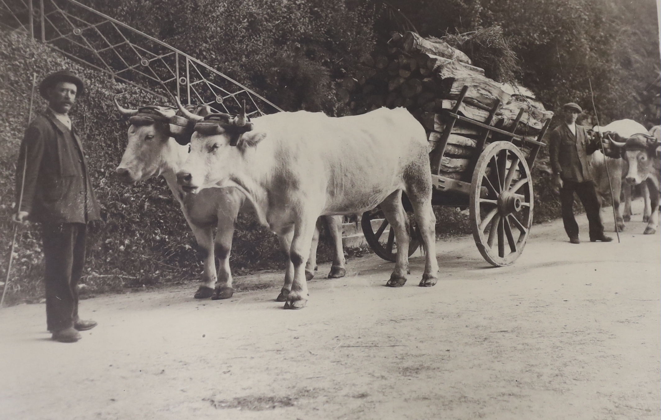 Three framed early 20th century farming photographs, largest 59.5cm wide x 39.5cm high